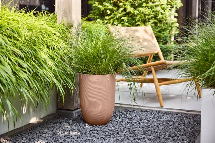 sereh hoch 30cm kühler Ton